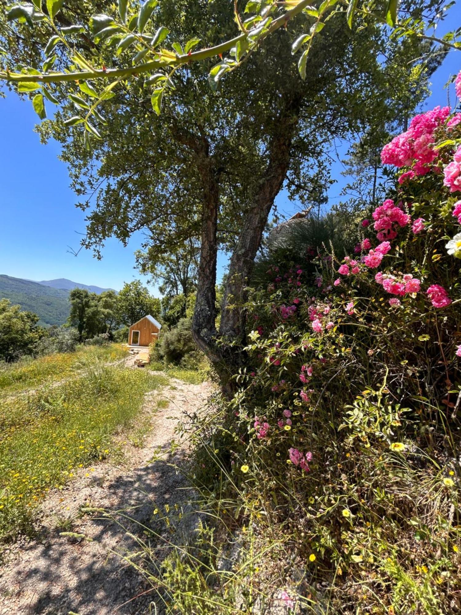 Villa Monkey Tiny Barnhouse With Amazing Views! Folhadosa Exterior foto