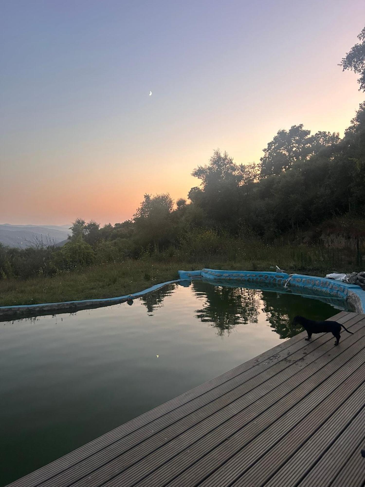 Villa Monkey Tiny Barnhouse With Amazing Views! Folhadosa Exterior foto