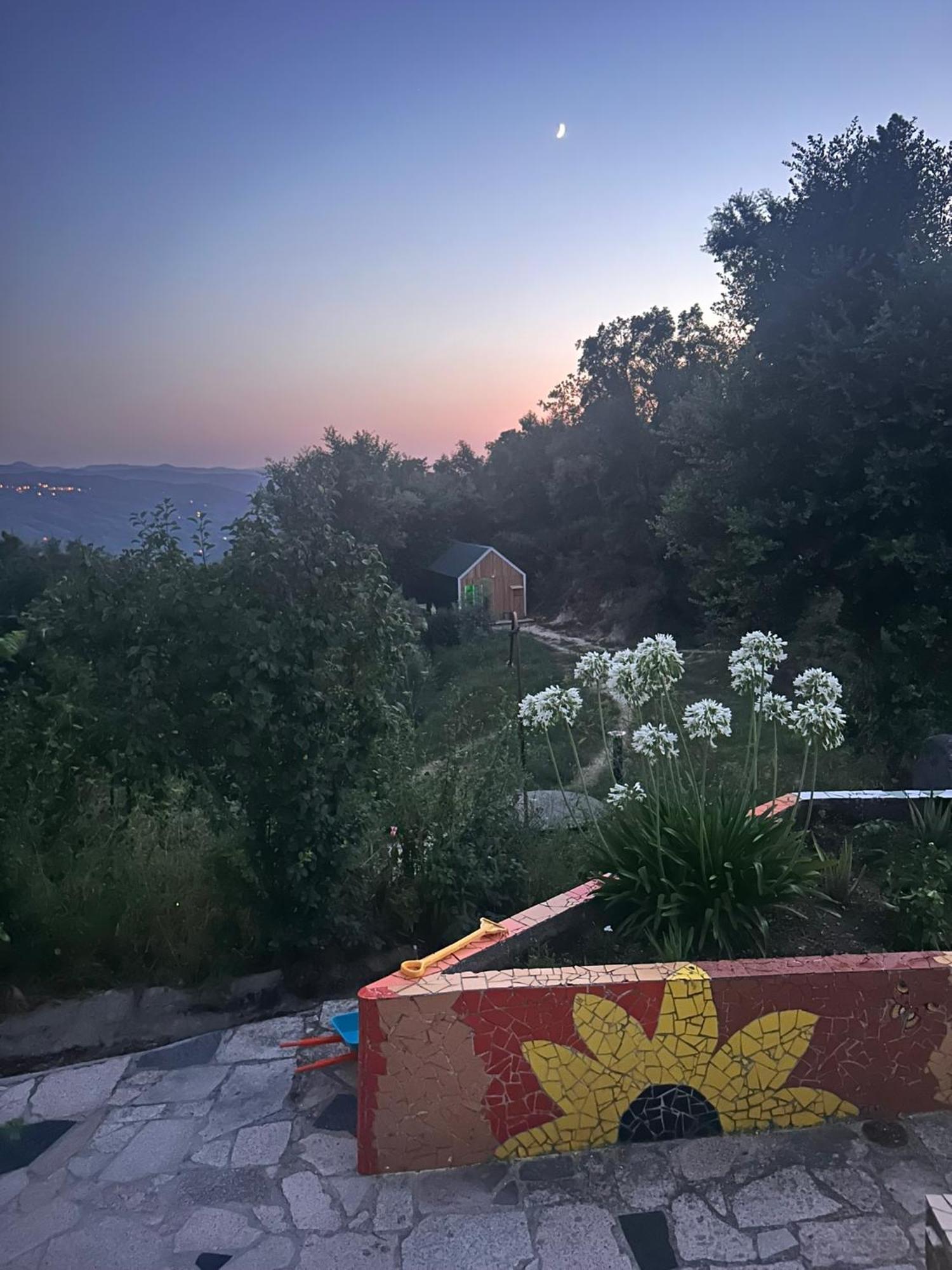 Villa Monkey Tiny Barnhouse With Amazing Views! Folhadosa Exterior foto