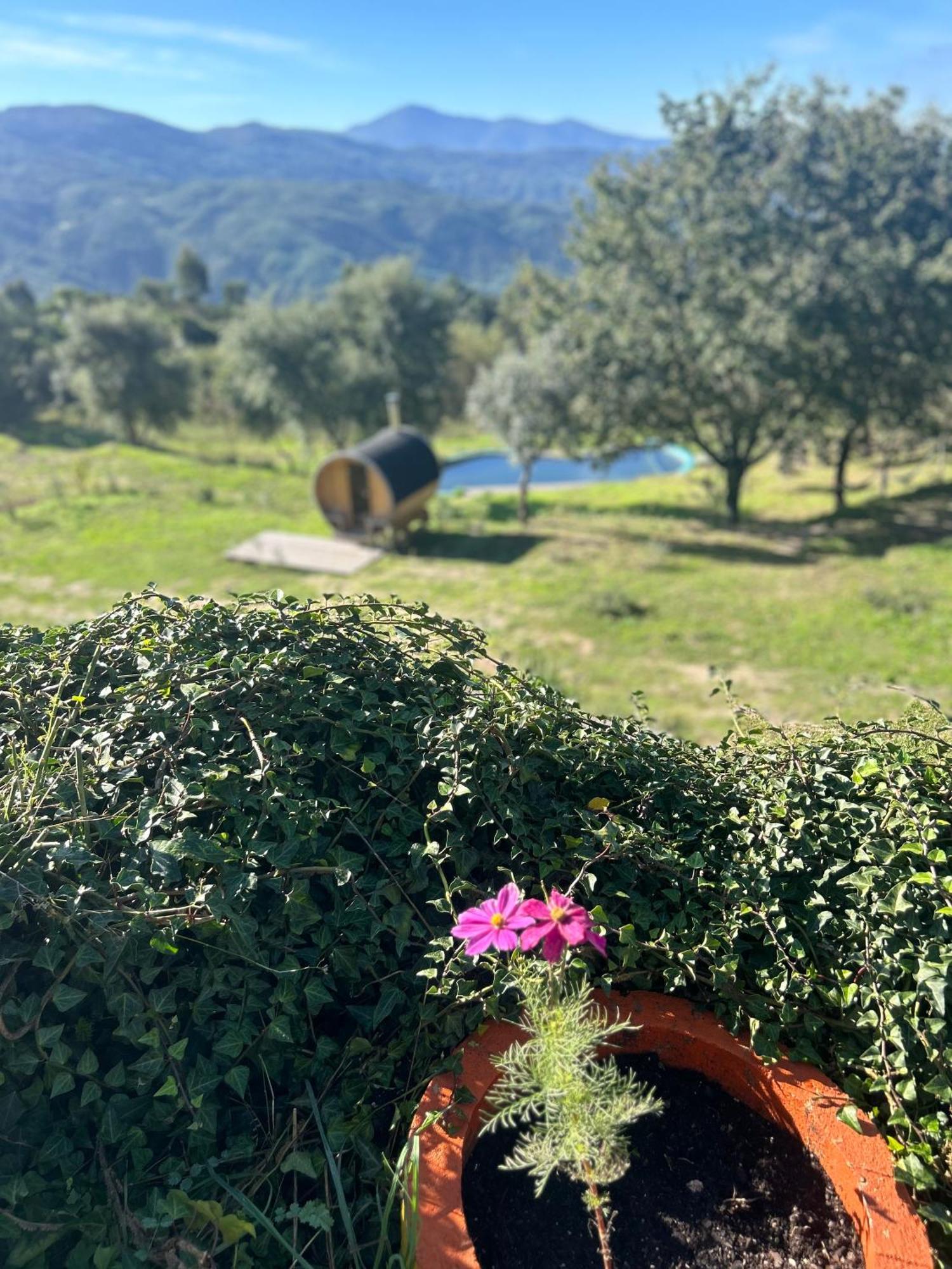 Villa Monkey Tiny Barnhouse With Amazing Views! Folhadosa Exterior foto